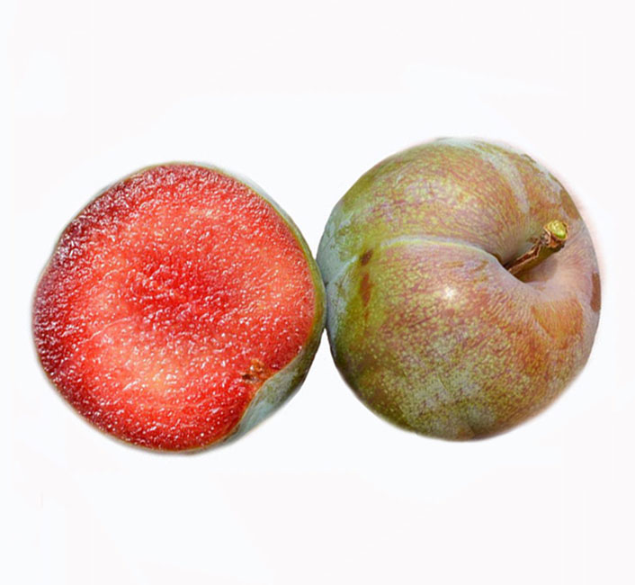 نهال آلو خاکی